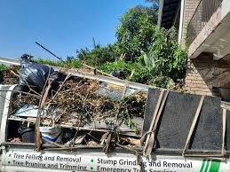 Best Same-Day Junk Removal Services  in Douglas, AZ